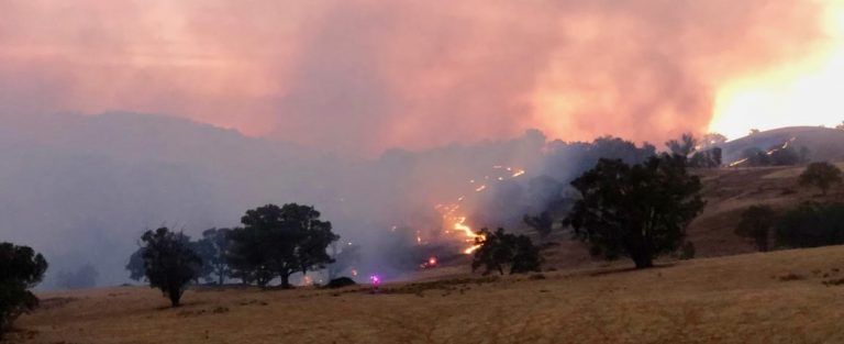 After the Tragic Wildfires: History is Rewritten or Forgotten