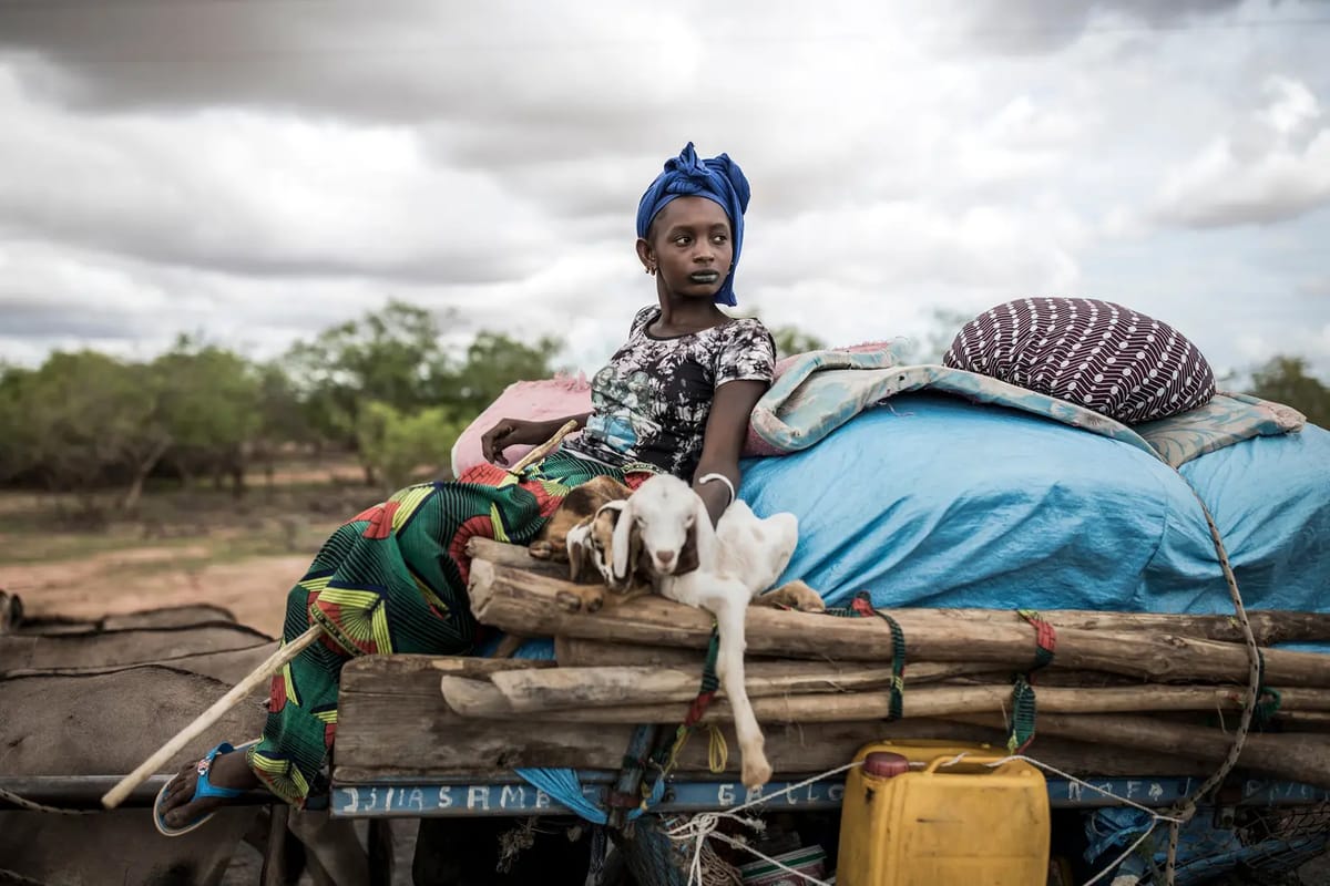 Afrika: Ein Blick zurück des scheidenden NZZ-Korrespondenten